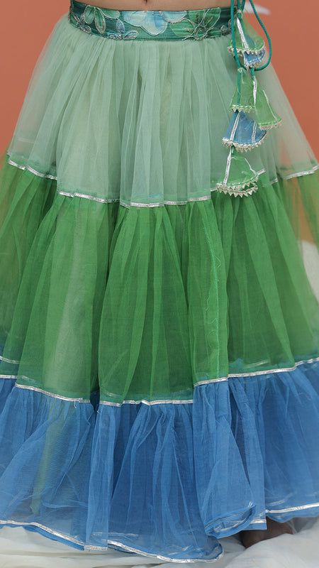 Peacock Multi colored Lehenga set