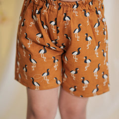 Flamingo print Cotton Coord Set