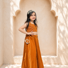 Rust Velvet Lehenga set