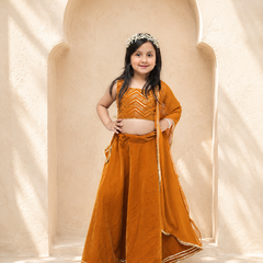 Rust Velvet Lehenga set