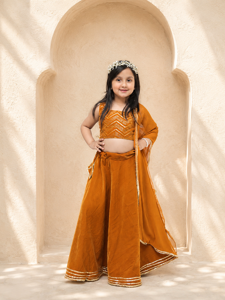 Rust Velvet Lehenga set
