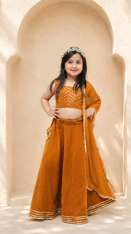 Rust Velvet Lehenga set