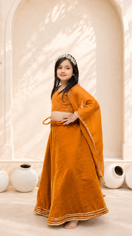 Rust Velvet Lehenga set