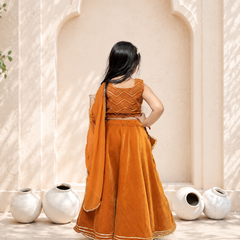 Rust Velvet Lehenga set