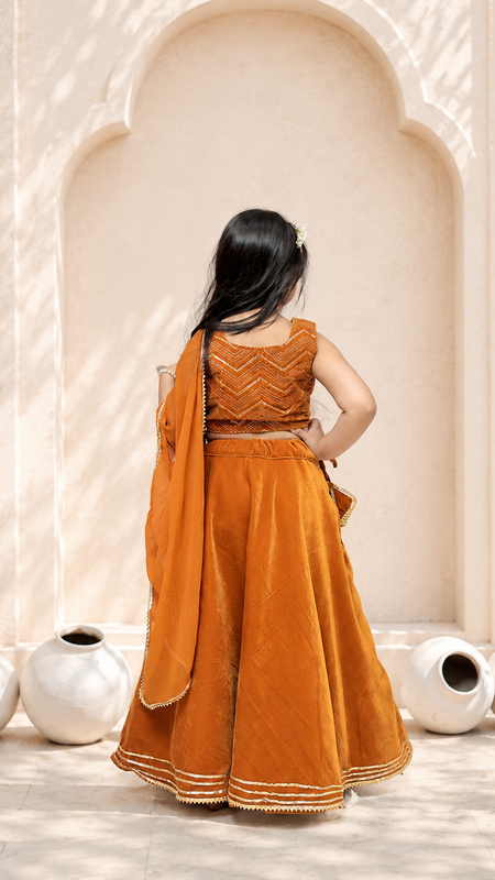 Rust Velvet Lehenga set