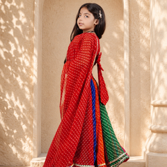 Red Georgette Pachrangi Lehenga Set