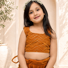 Rust Velvet Lehenga set