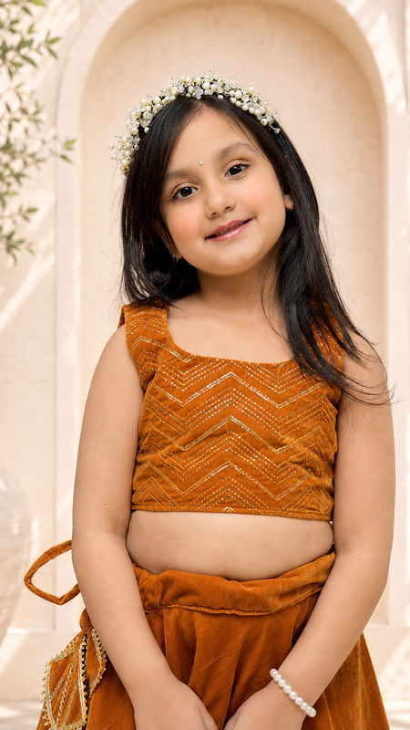 Rust Velvet Lehenga set