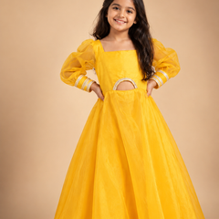 Organza Gown