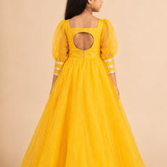 Organza Gown