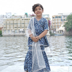 Indigo Leaf Hand Block Print Sharara/Garara Set