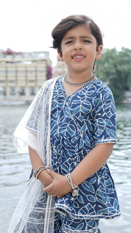 Indigo Leaf Hand Block Print Sharara/Garara Set