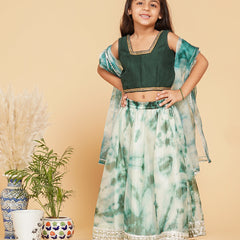 Organza Shibori Lehenga set