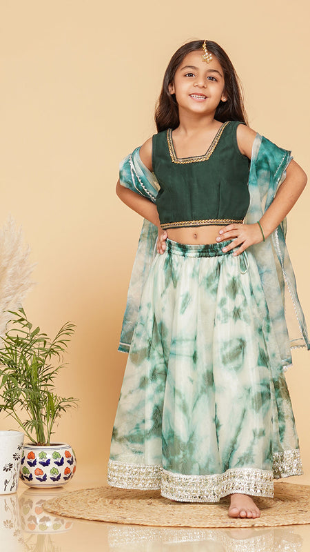 Organza Shibori Lehenga set