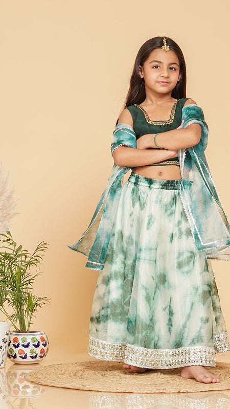 Organza Shibori Lehenga set