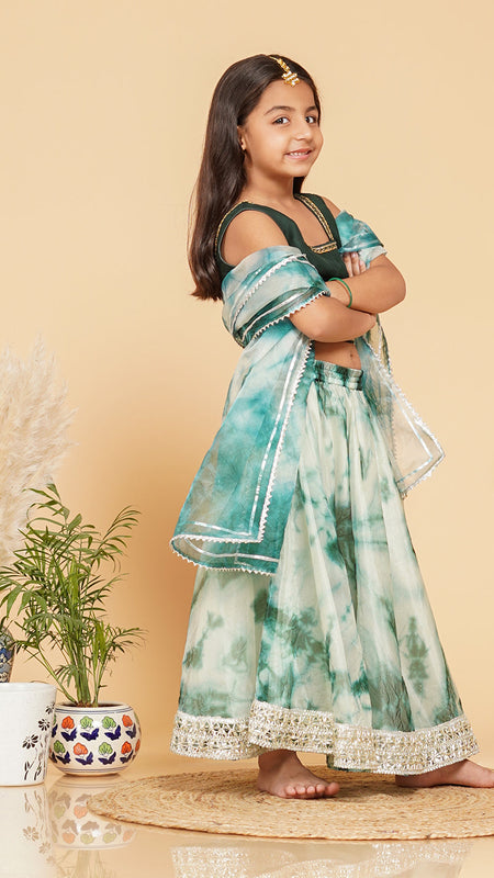 Organza Shibori Lehenga set