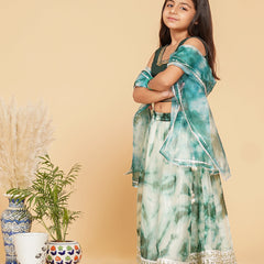 Organza Shibori Lehenga set