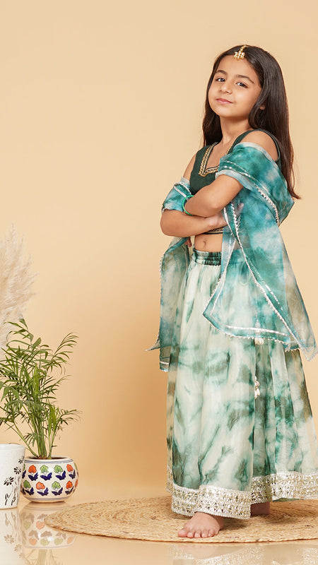 Organza Shibori Lehenga set