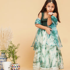 Organza Shibori Lehenga set
