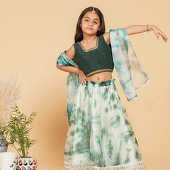 Organza Shibori Lehenga set
