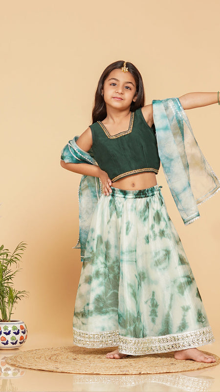 Organza Shibori Lehenga set