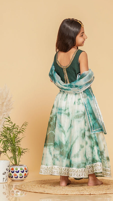 Organza Shibori Lehenga set