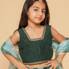 Organza Shibori Lehenga set