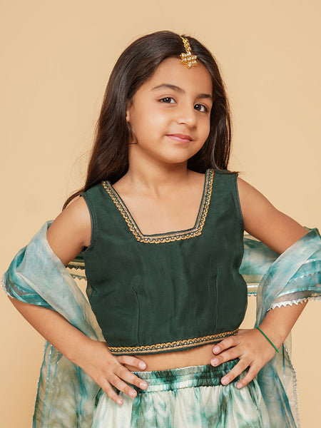 Organza Shibori Lehenga set