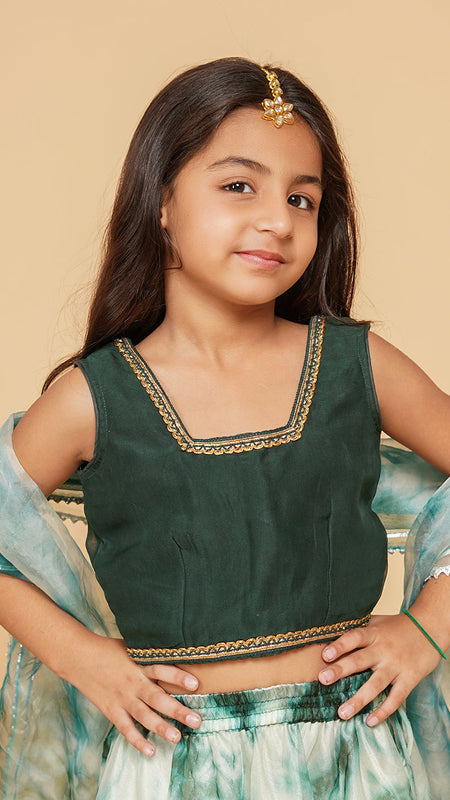 Organza Shibori Lehenga set