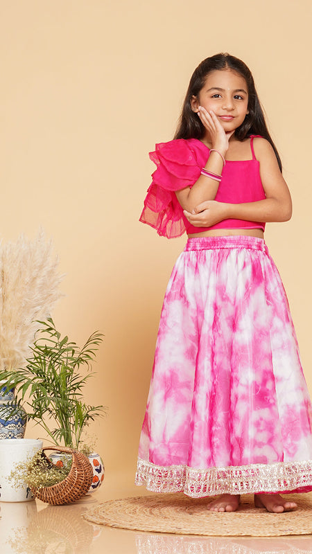 Organza Crop top & Shibori Skirt set