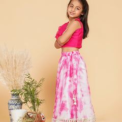 Organza Crop top & Shibori Skirt set