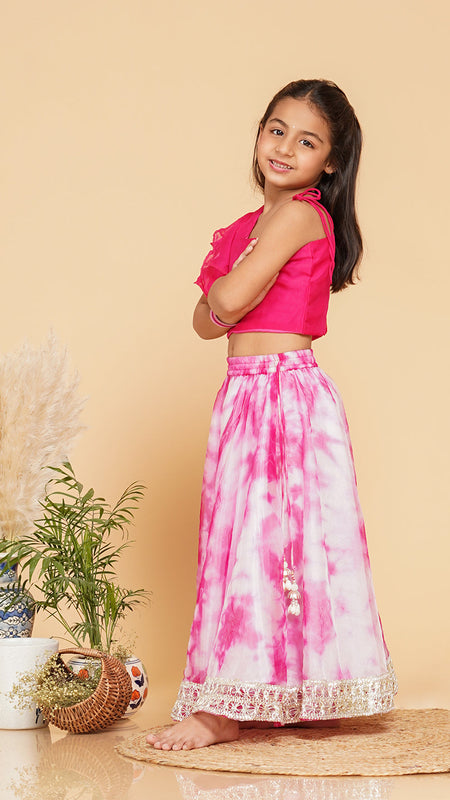 Organza Crop top & Shibori Skirt set