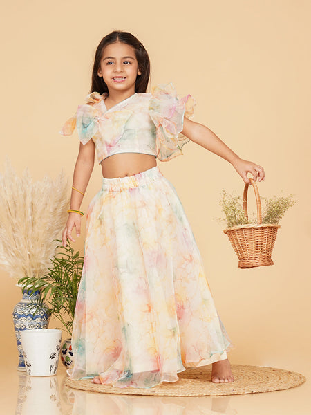 Organza Crop top Skirt set
