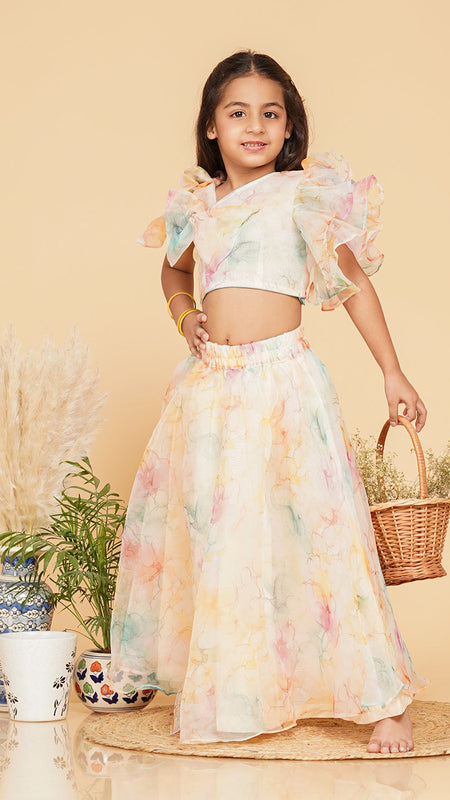 Organza Crop top Skirt set