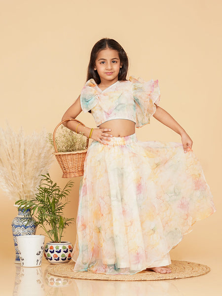 Organza Crop top Skirt set