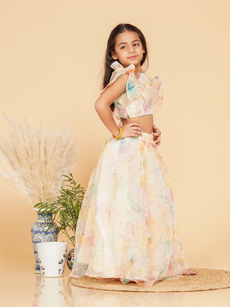 Organza Crop top Skirt set