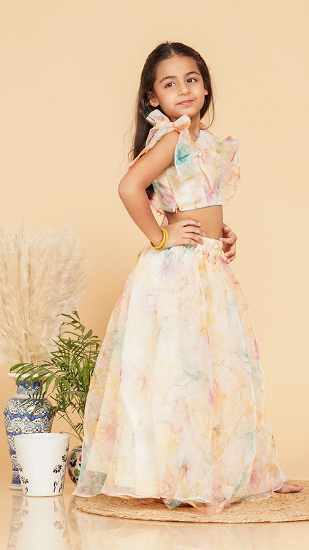 Organza Crop top Skirt set