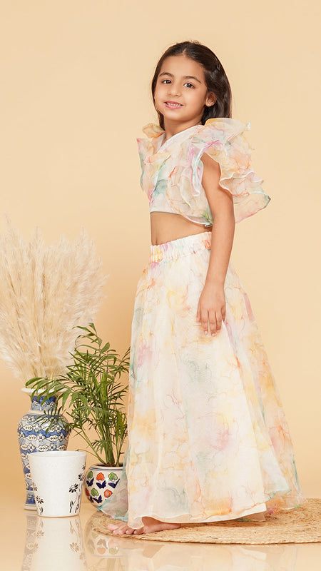 Organza Crop top Skirt set