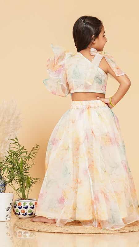 Organza Crop top Skirt set