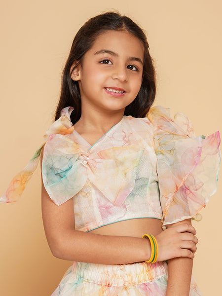 Organza Crop top Skirt set