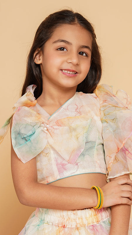 Organza Crop top Skirt set