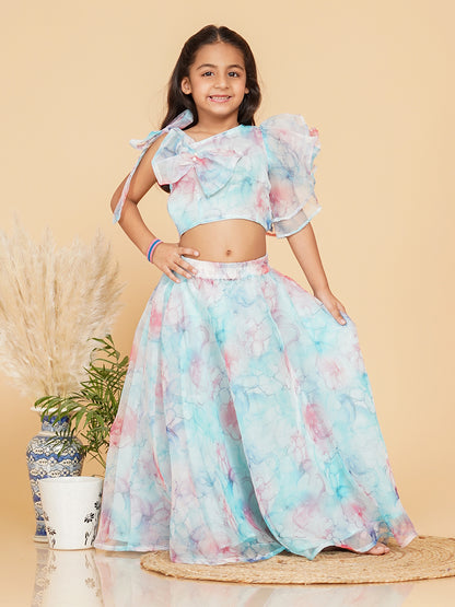 Pastel Blue Organza Crop top Skirt set