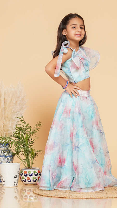 Pastel Blue Organza Crop top Skirt set