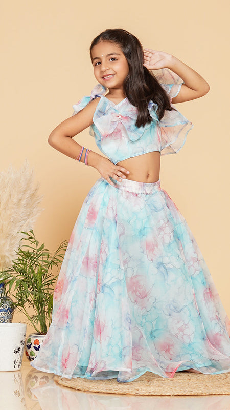 Pastel Blue Organza Crop top Skirt set