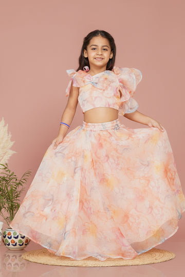 Pastel Peach Organza Crop top Skirt set