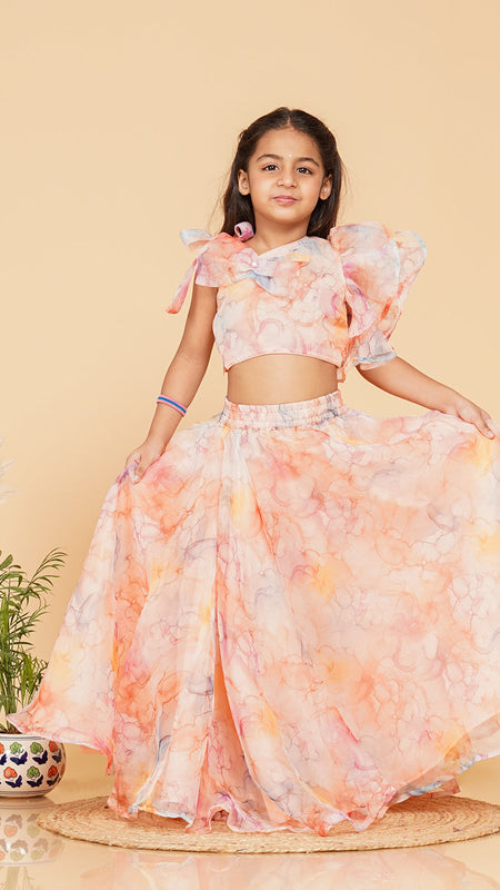 Pastel Peach Organza Crop top Skirt set