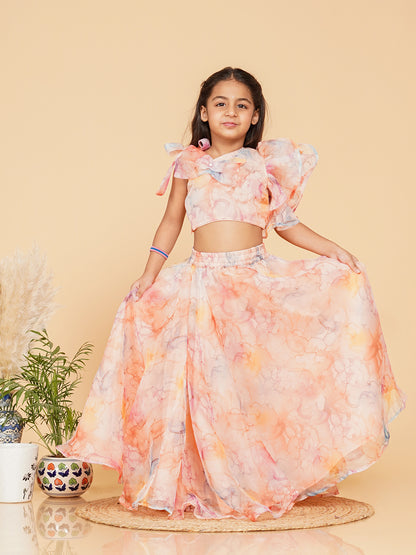 Pastel Peach Organza Crop top Skirt set