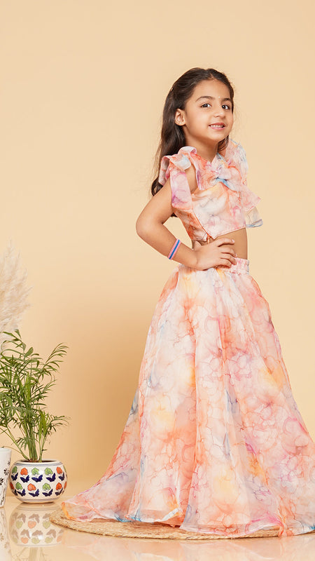 Pastel Peach Organza Crop top Skirt set