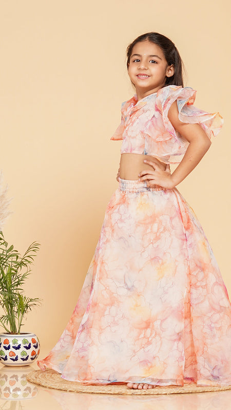 Pastel Peach Organza Crop top Skirt set