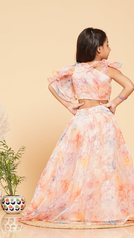Pastel Peach Organza Crop top Skirt set